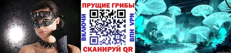 Галлюциногенные грибы мухоморы купить сайты omg ССЫЛКА Бердск
