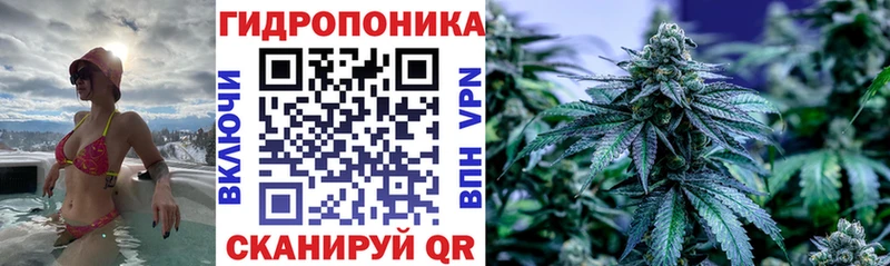 наркошоп  Бердск  нарко площадка какой сайт  Марихуана индика 